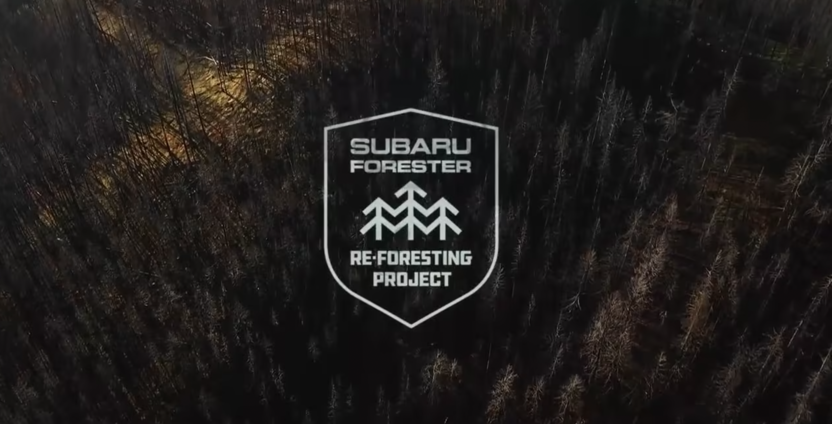 Subaru “Reforesting” – AICP